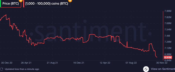 Bitcoin Whales Holding Up To 100,000 BTC Hunt Cycle Bottom, Here’s What ...